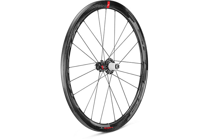 Speed 40T DB (F+R)センターロック