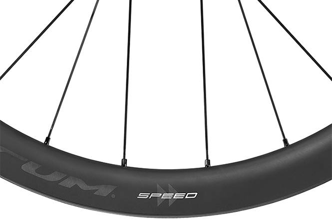Speed 42 DB 2WAY センター(F+R)