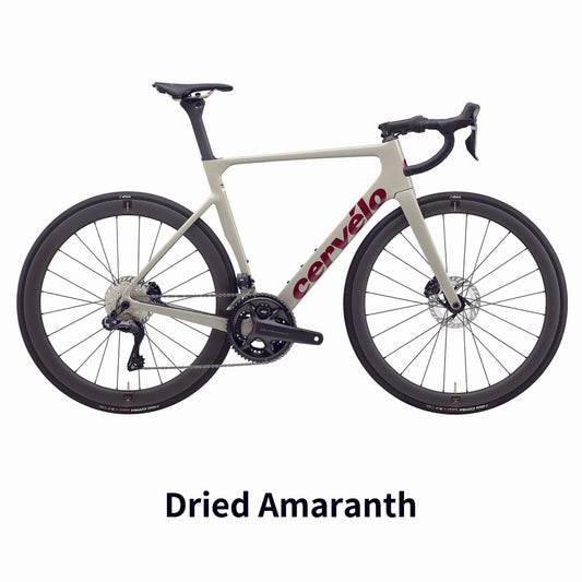 SOLOIST R8170 ULTEGRA_Di2 2025年モデル 完成車