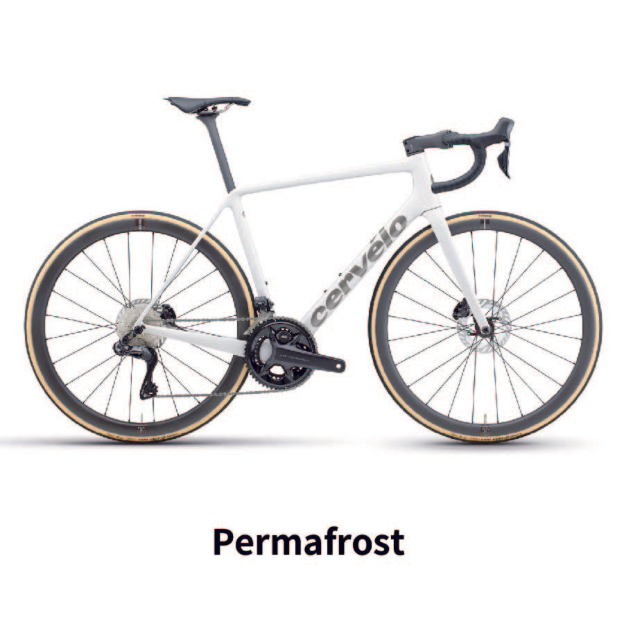 R5 DISC R8170 ULTEGRA_Di2 2025年モデル 完成車