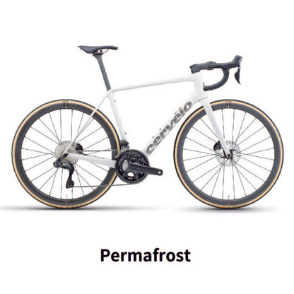 R5 DISC R8170 ULTEGRA_Di2 2025年モデル 完成車
