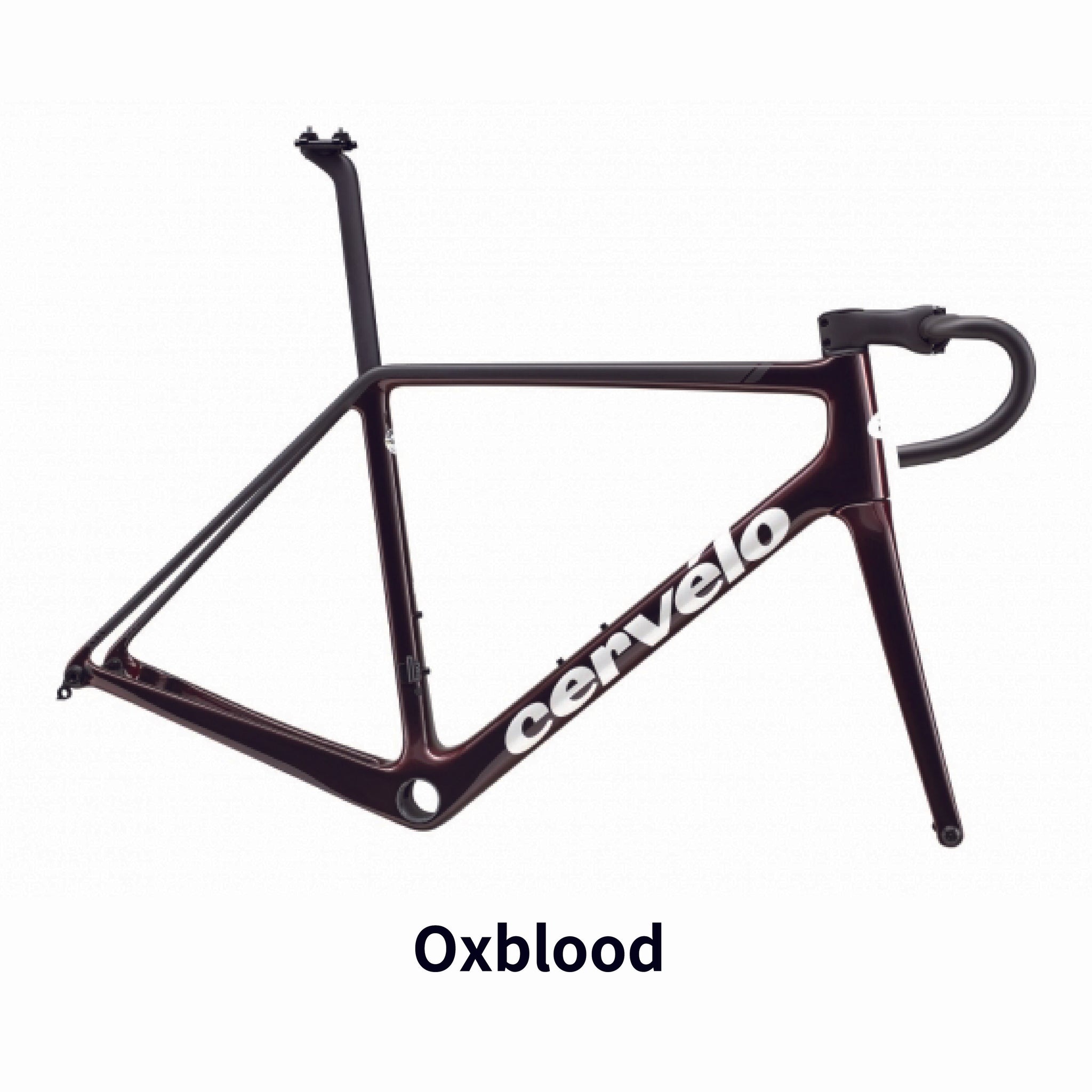 R5 DISCフレームセット 2025年継続モデル