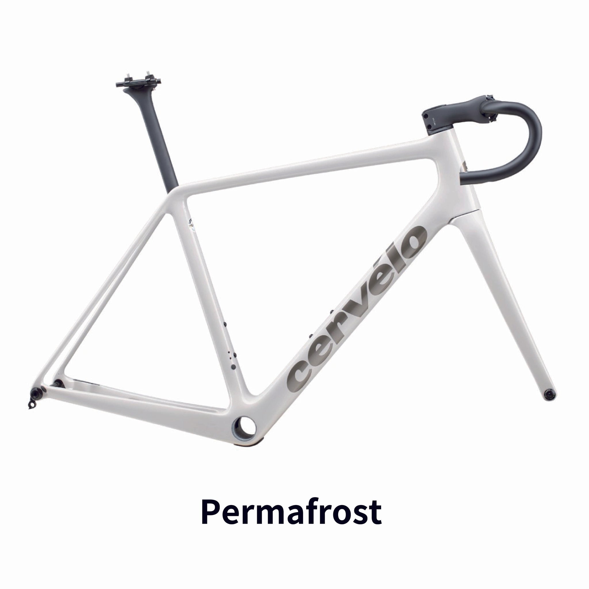 R5 DISC フレームセット 2025年モデル