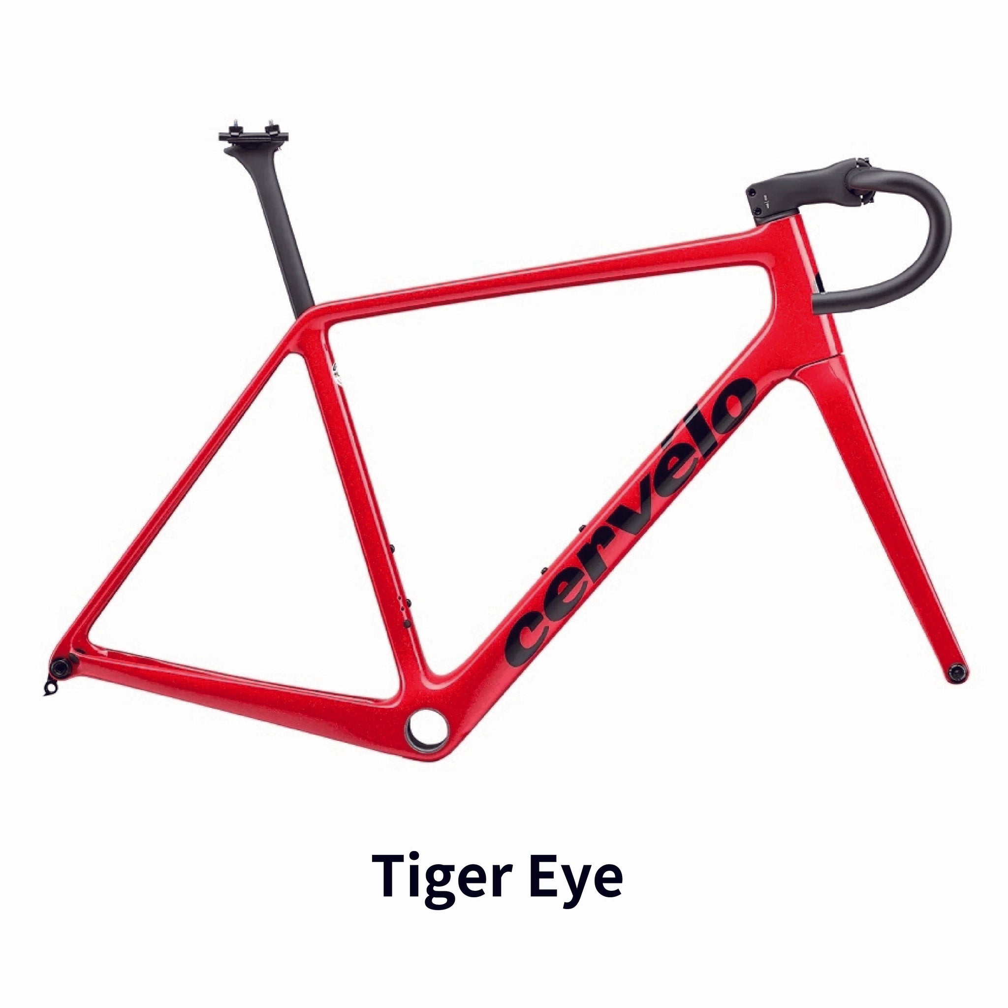 R5 DISC フレームセット 2025年モデル