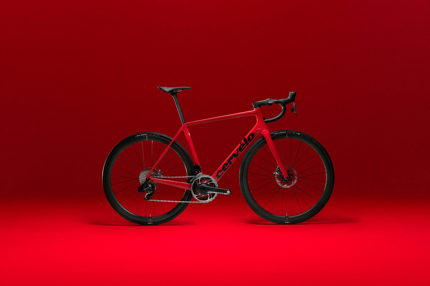 R5 DISC フレームセット 2025年モデル