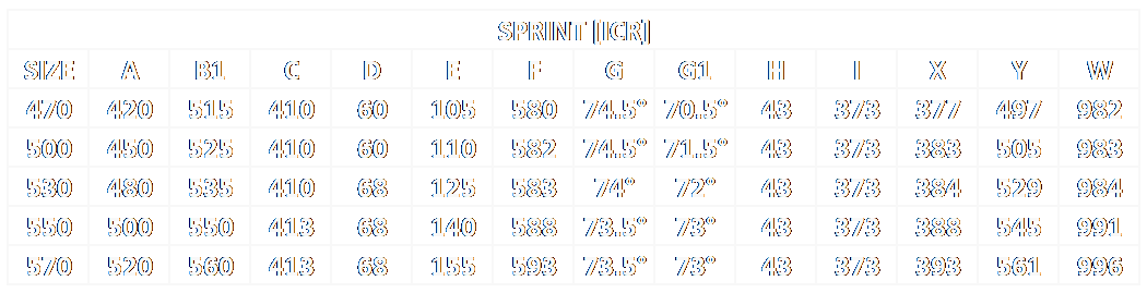 SPRINT DB  SHIMANO 105 12S