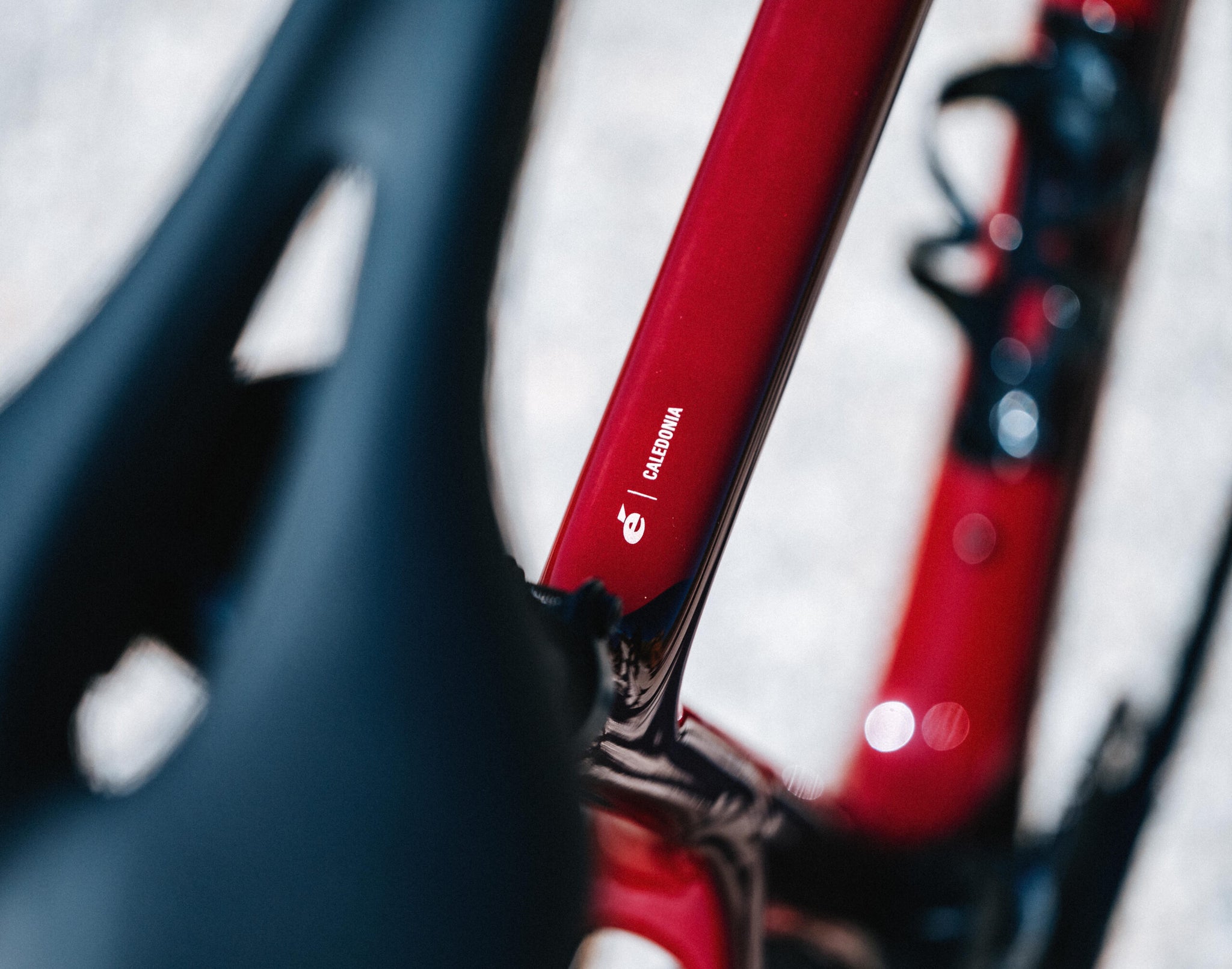 CALEDONIA R7120 105 12S 2025年モデル 完成車