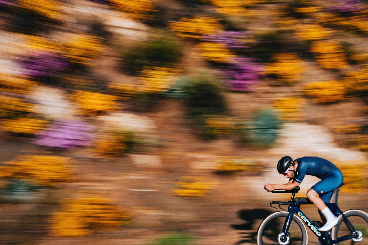 【完全組立配送】P5 R8170 ULTEGRA_Di2 2025年モデル 完成車